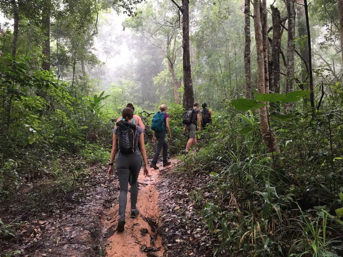go jungle trekking thailand