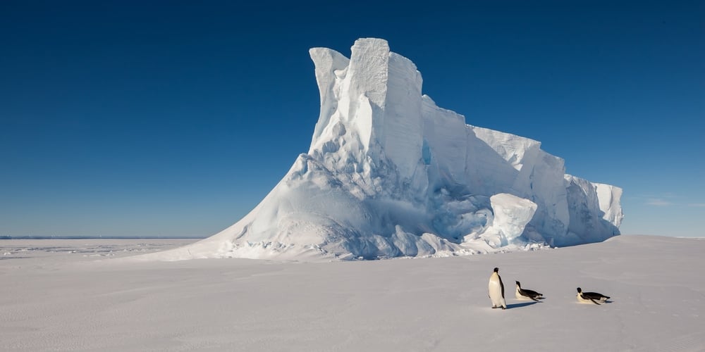 Antarctica rounds of 7 continents of best places for adventure travel
