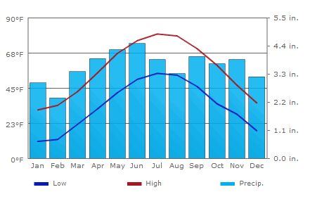 Graph of the weather in India - temperature and precipitation by month