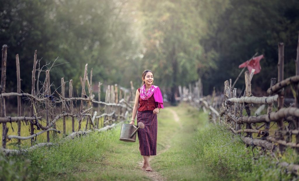 A burmese woman in Myanmar working the fields