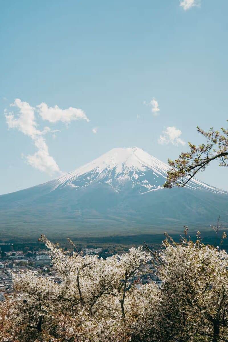 witness the magic of mount fuji