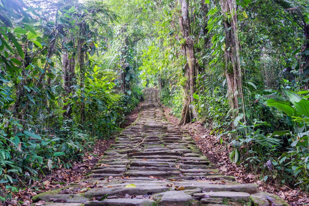 Ciudad Perdida