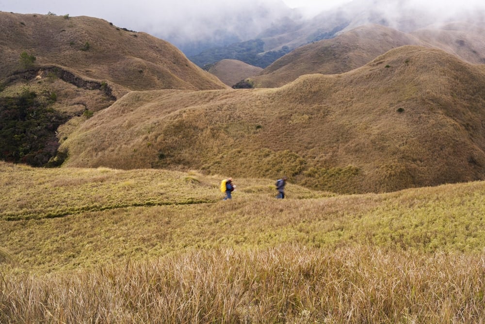 The Mt. Pulag trail