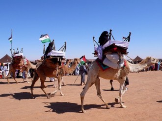 Camel Racing Dubai