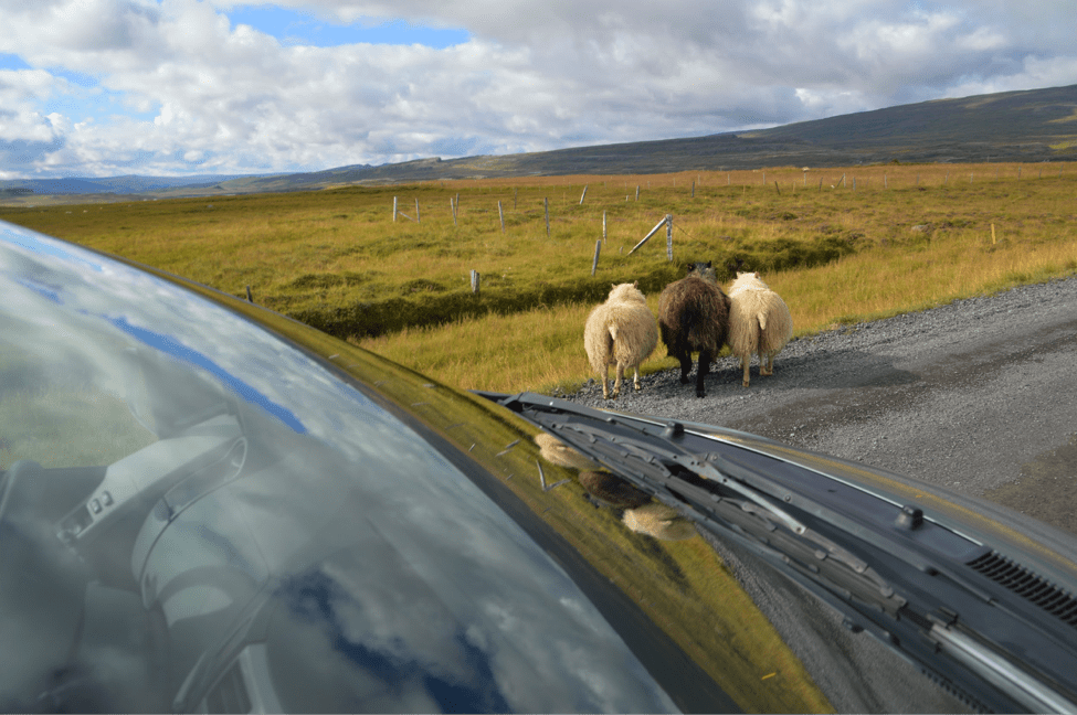 budget guide to backpacking iceland budget guide to backpacking iceland