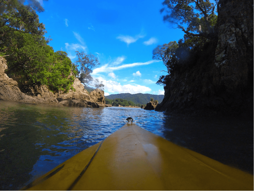 Kayaking in New Zealand