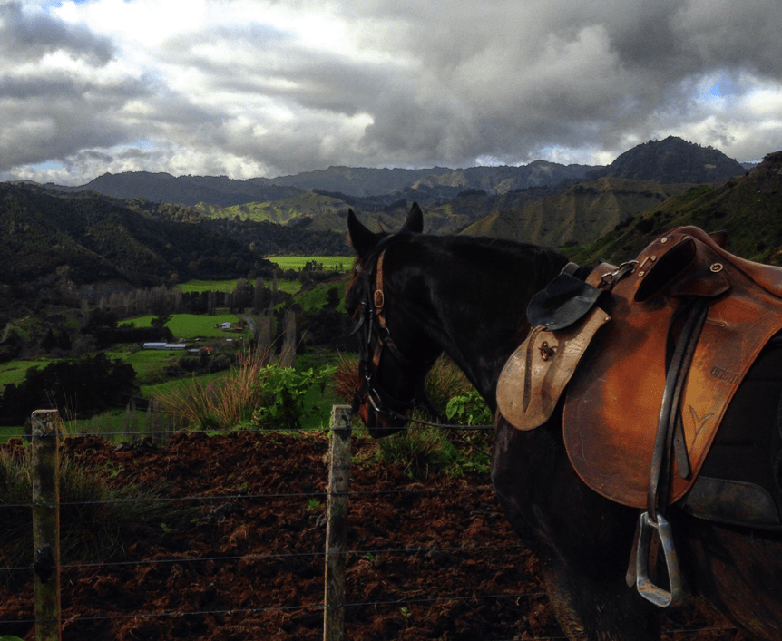 new zealand backpacking trip