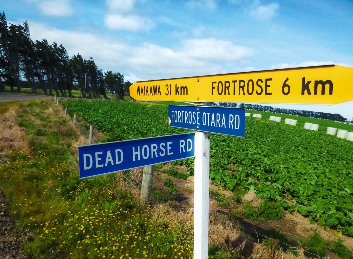 Random funny street sign found while backpacking New Zealnd's south