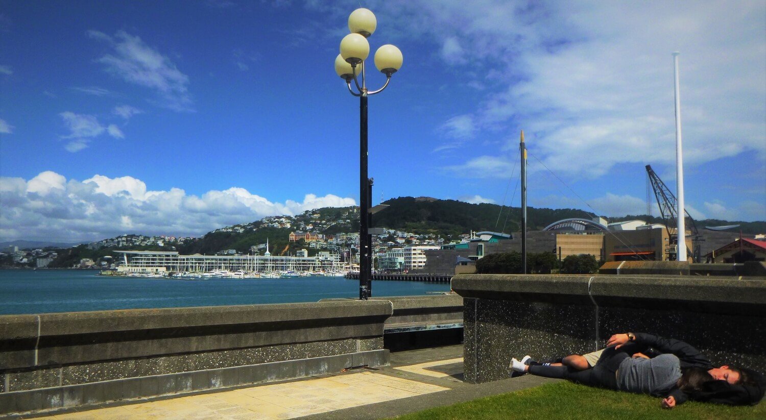 two people cuddle in wellington