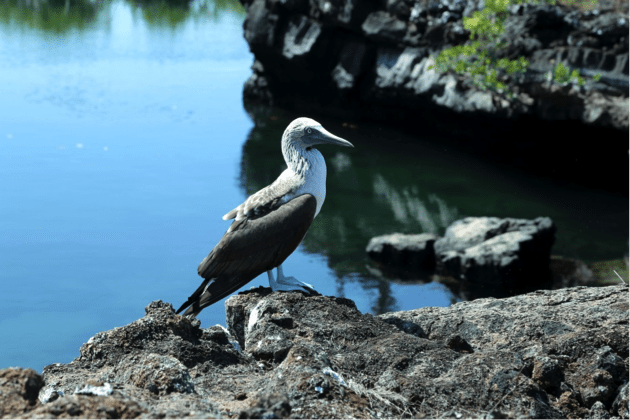 backpacking galapagos budget backpacking guide