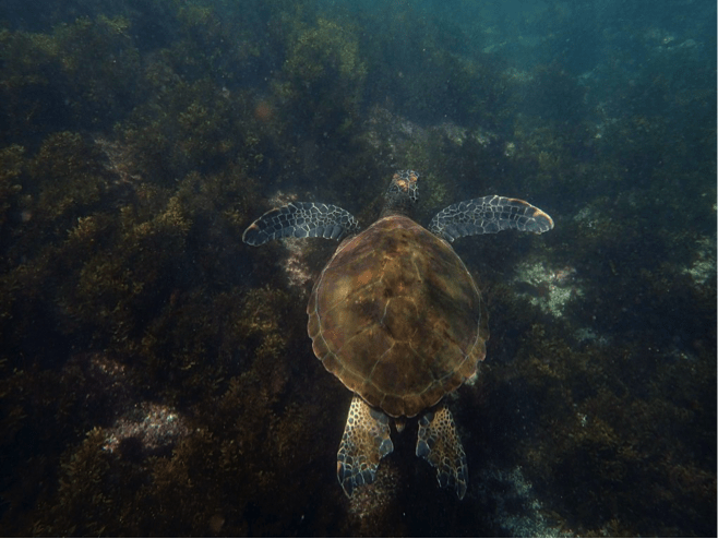 Galapagos budget backpacking guide