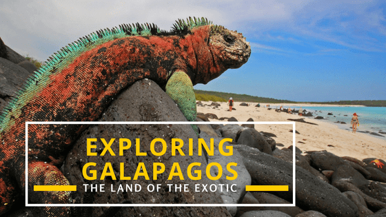 Backpacking Galapagos islands (IN-DEPTH 2023 Travel Guide) - Backpackinggalapagos 1 1