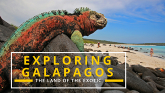 Galapagos on a budget