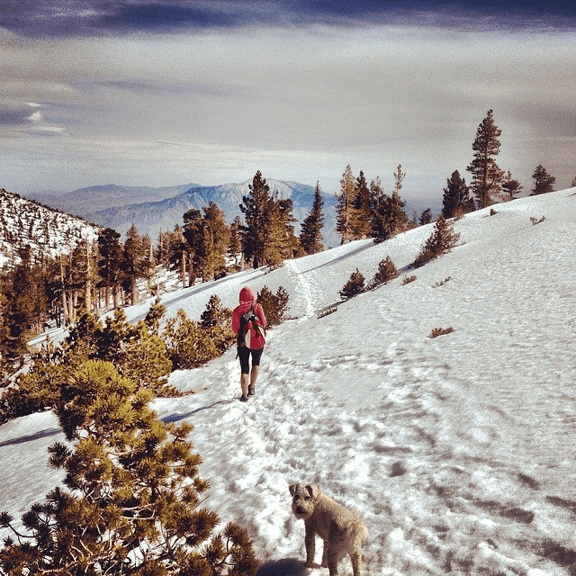 outddor fitness-hiking