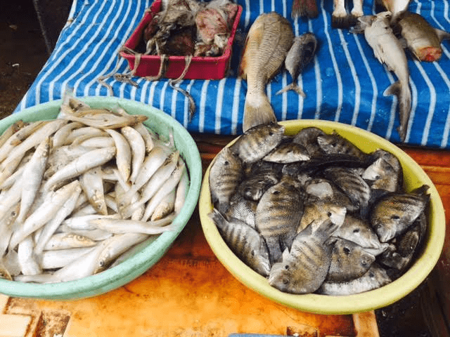 Outdoor fitness-fresh fish market