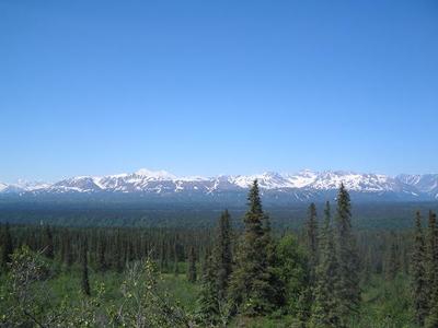 Alaska road trip-Denali