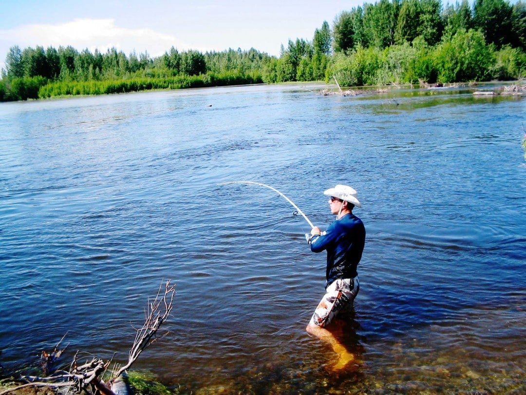 Alaska road trip-salmon