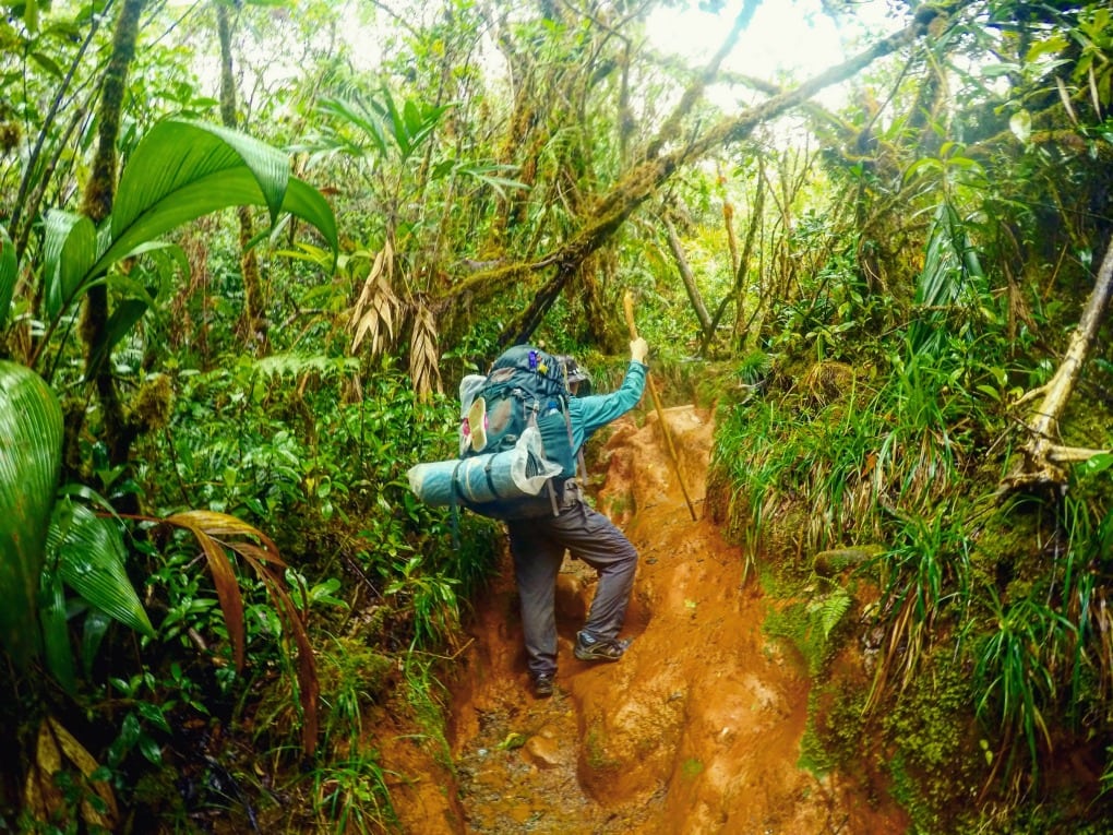 Will Hatton trekking through the Venezuelan jungle.