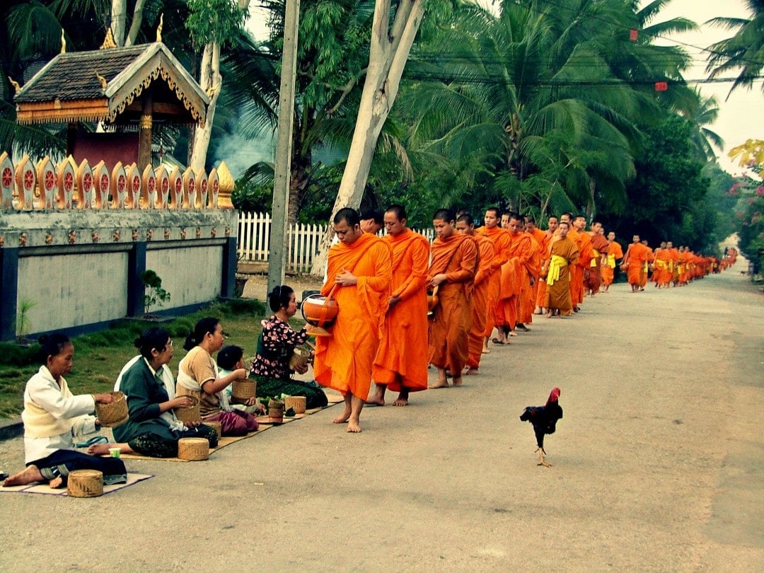 Buddhist monks receiving food at a temple in Laos