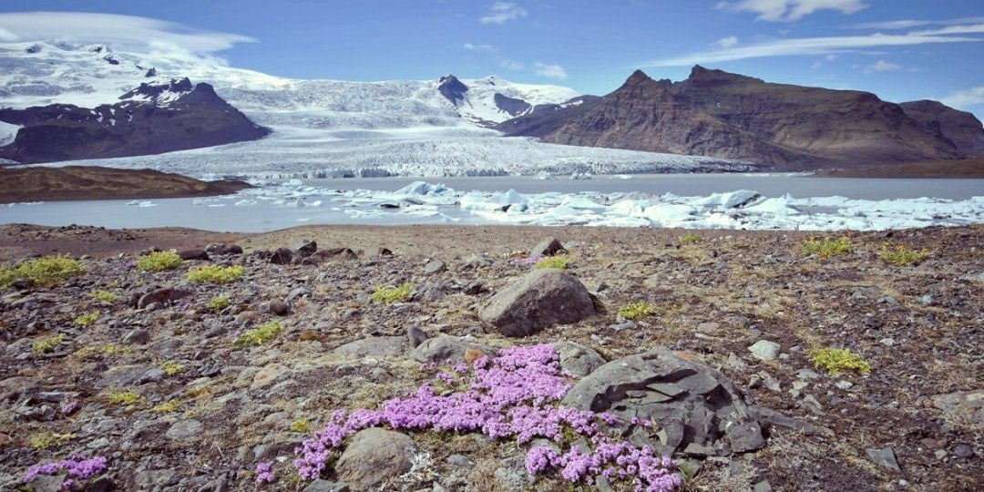 backpacking iceland