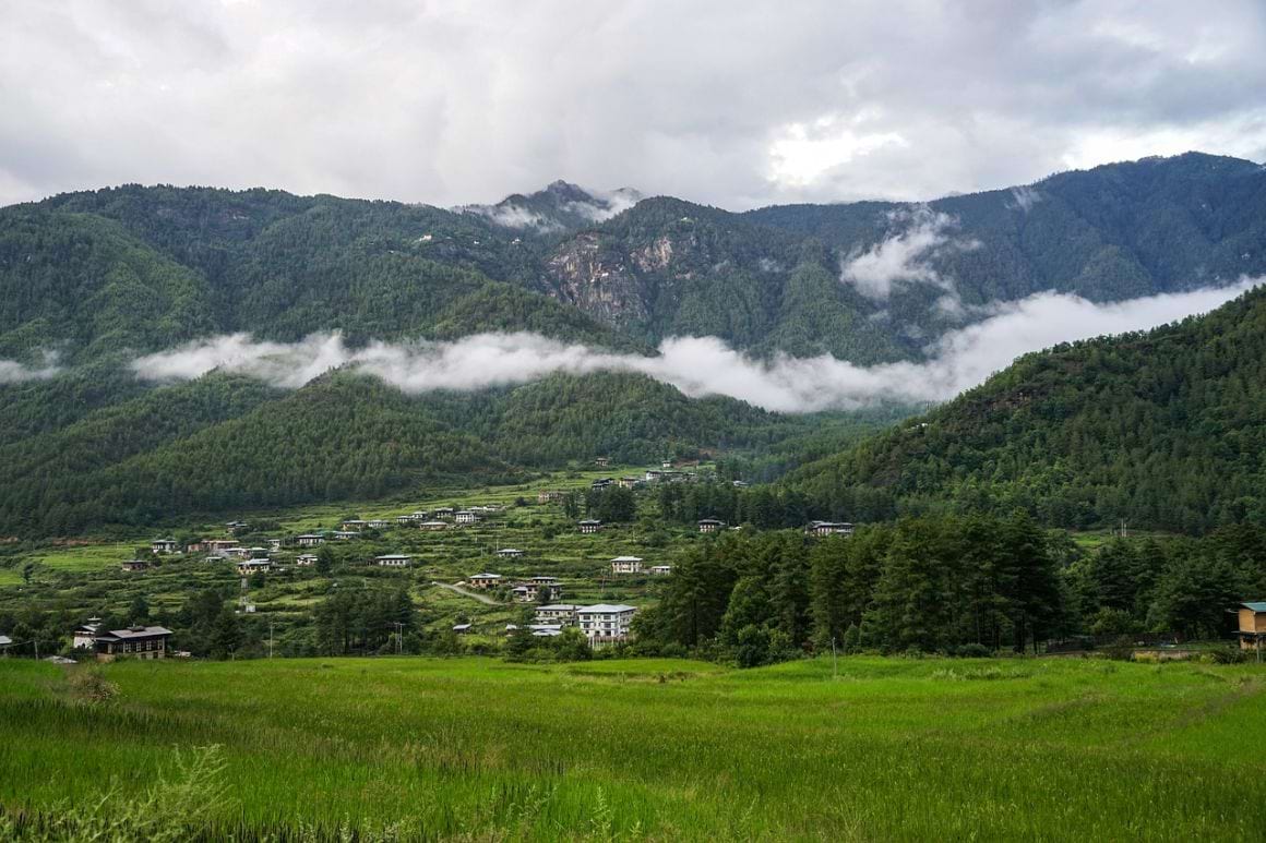 Bhutan Forest