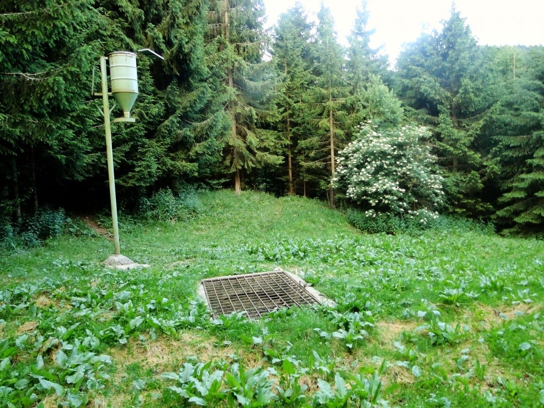 A feeding station for bears in Slovenia