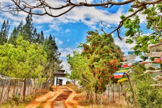 travel to Bhutan