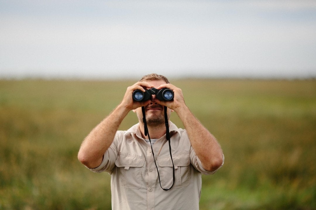 A man spotting bears in Slovenia