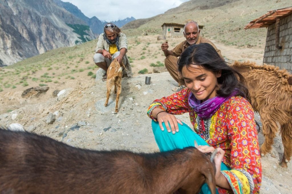 Female Traveller enjoy with animal and localites of Pakistan