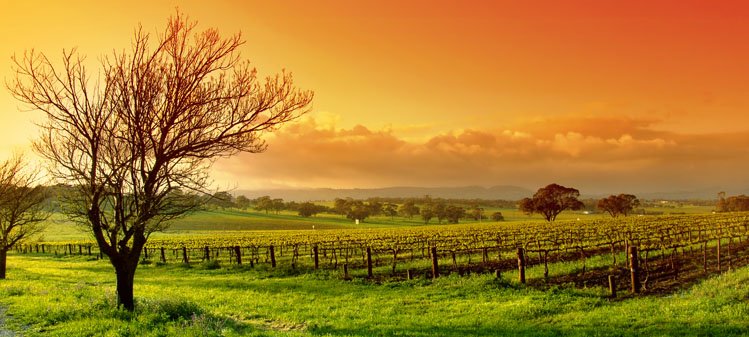 Things to Do in Melbourne
