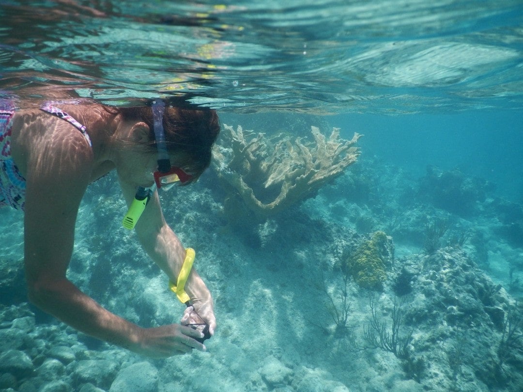 Snorkeling at Thailand's islands is a must do