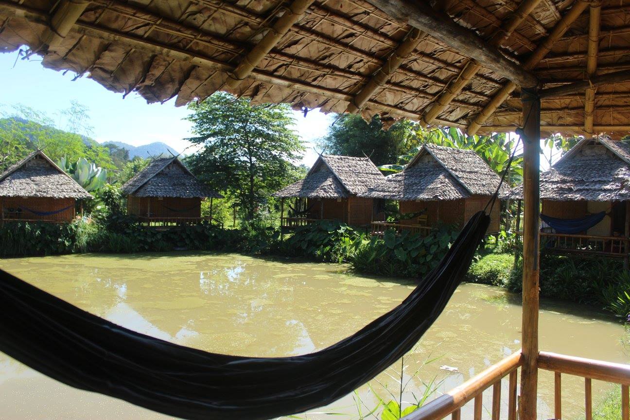 things to do in pai cozy pai hammock