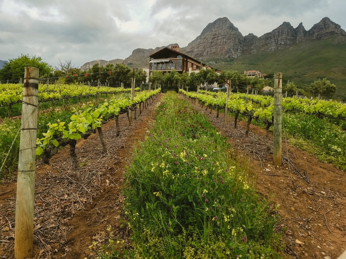 visiting winelands south africa