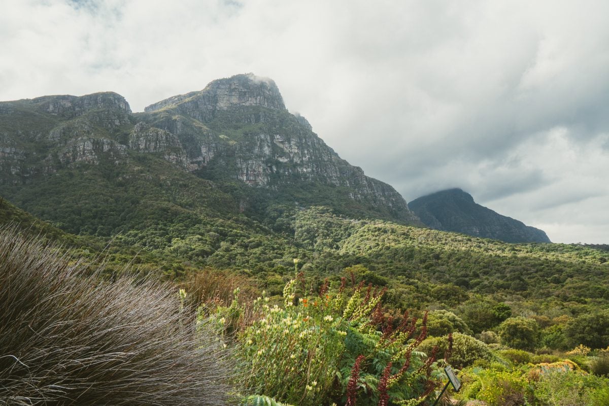 best views in Cape Town