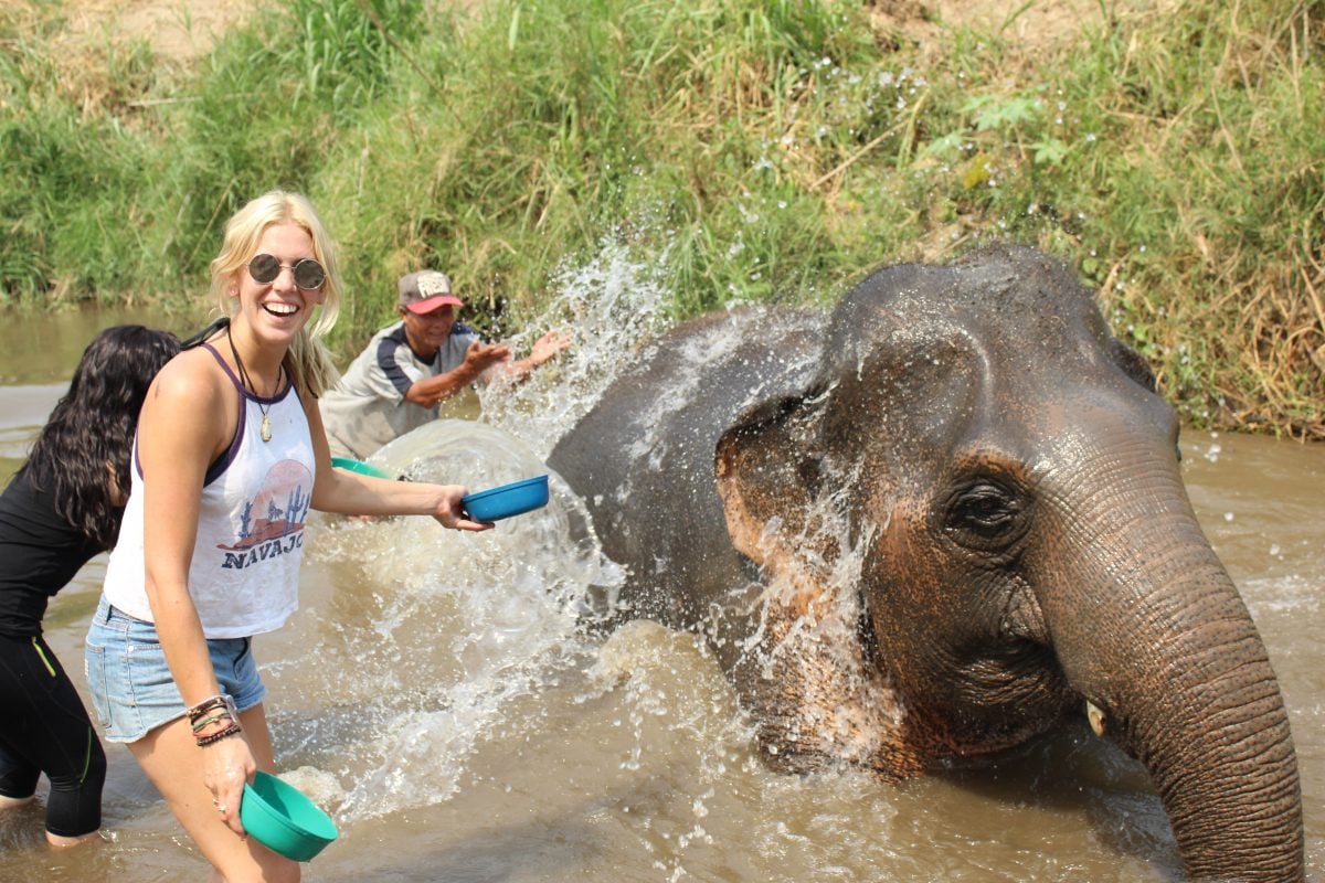 things to do in pai Elephants Ethical