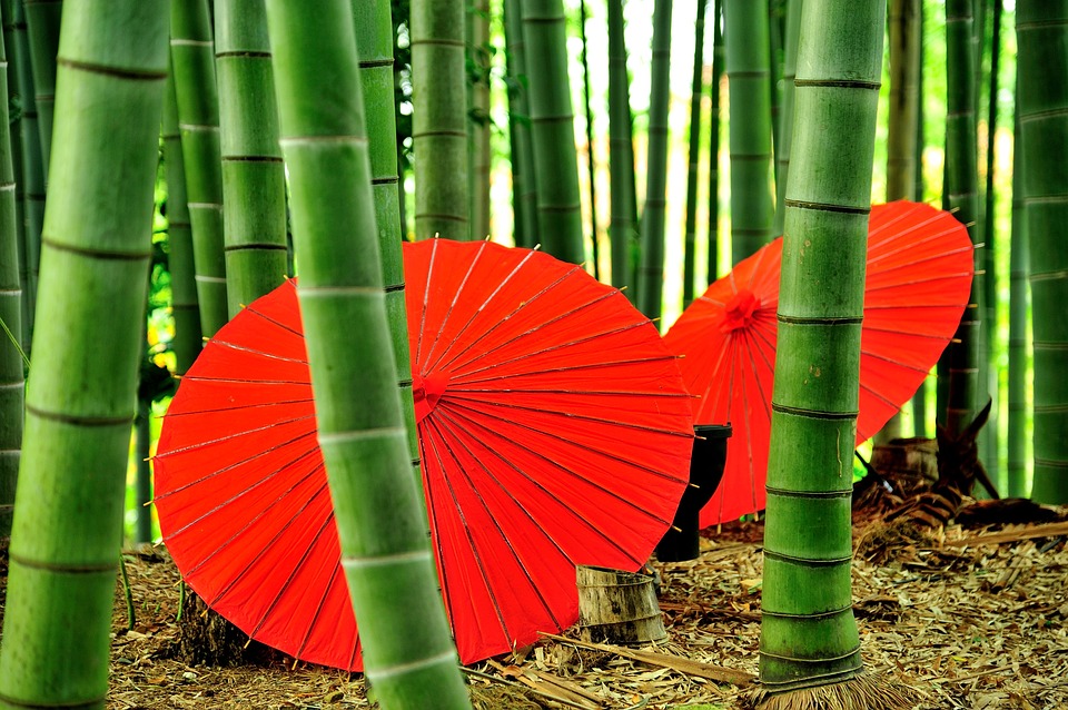 things to do in kyoto Best Hostels in Kyoto