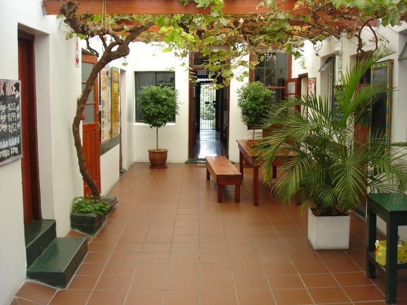 Zebra Crossing Best Hostels in Cape Town. A beautiful shaded outdoor area with plants.
