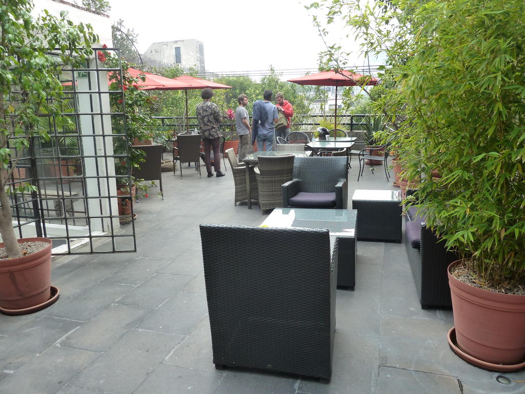 Hostel333 best hostel in Mexico City