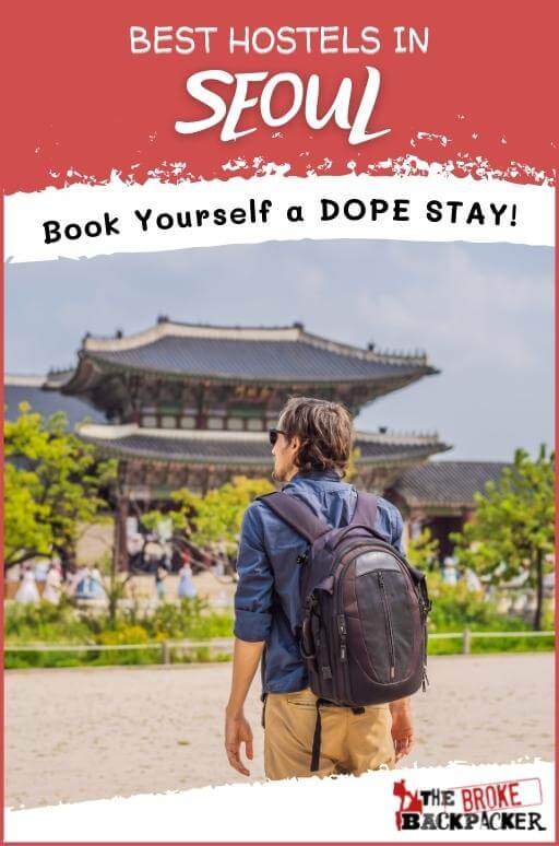 awesome travel backpackers korea The 5 Best Hostels in Seoul