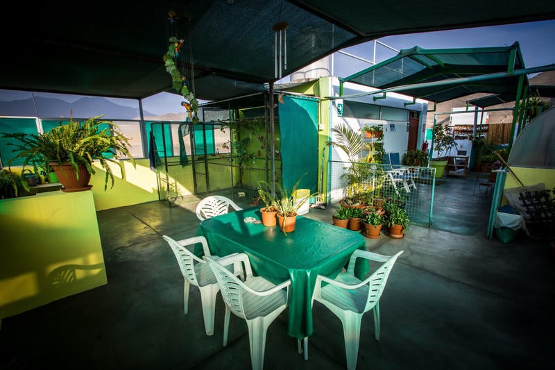 Mama Backpackers best hostels in Lima