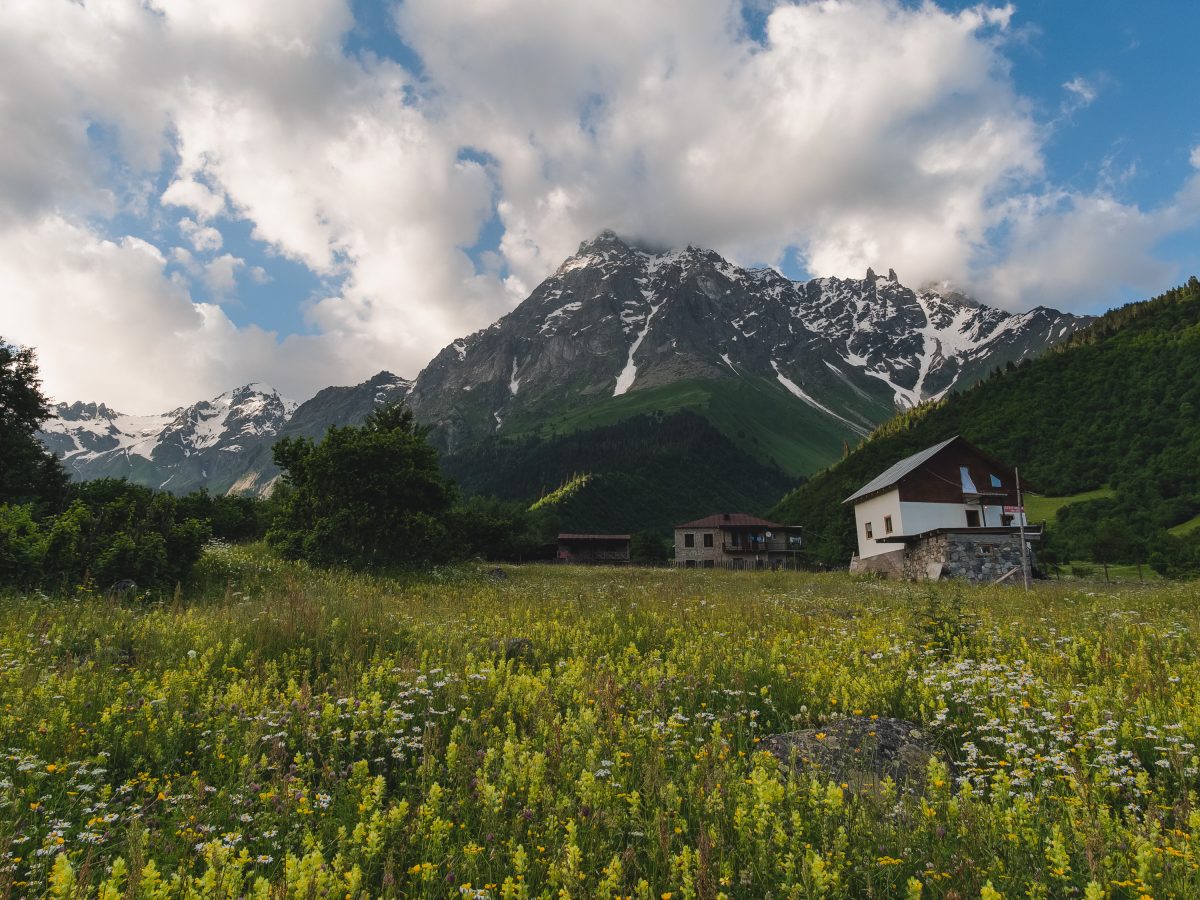 Guesthouse in Mountain Meadow Mazeri Georgia