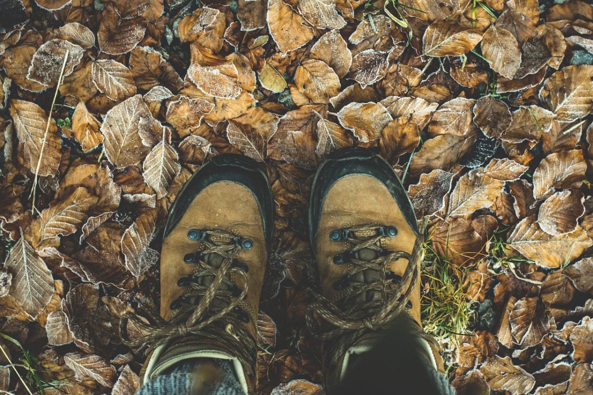 best hiking boots for the money