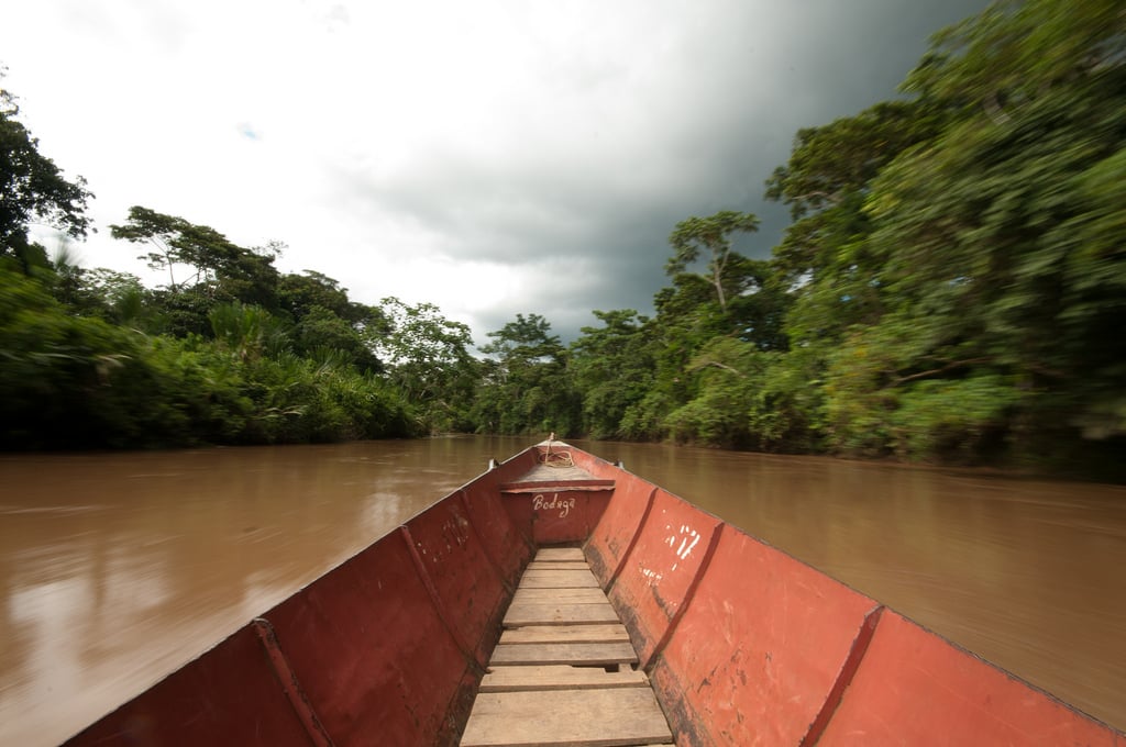 Ecuador amazon