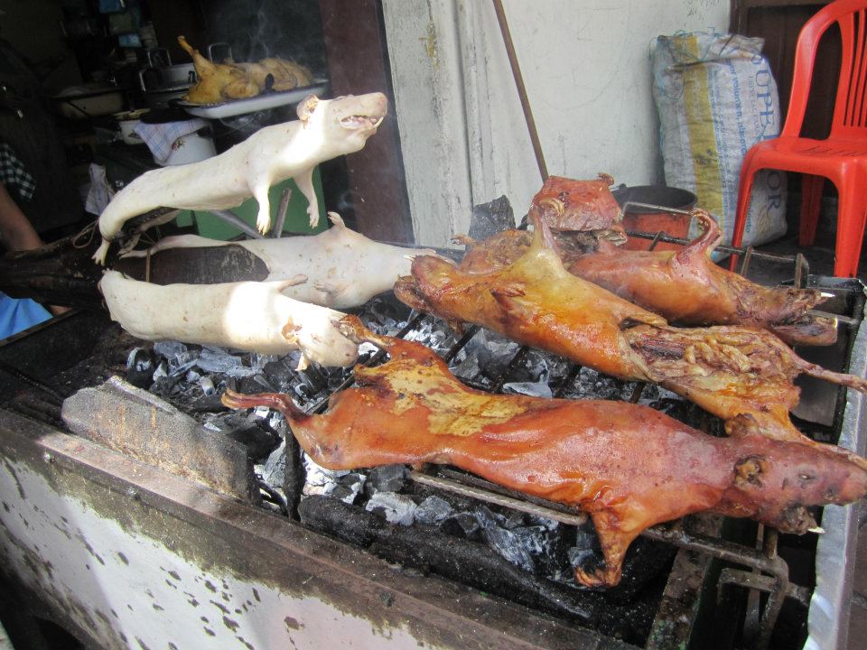 Food in Ecuador