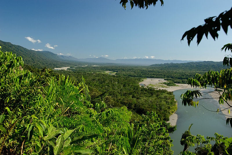 Manu National park in Peru