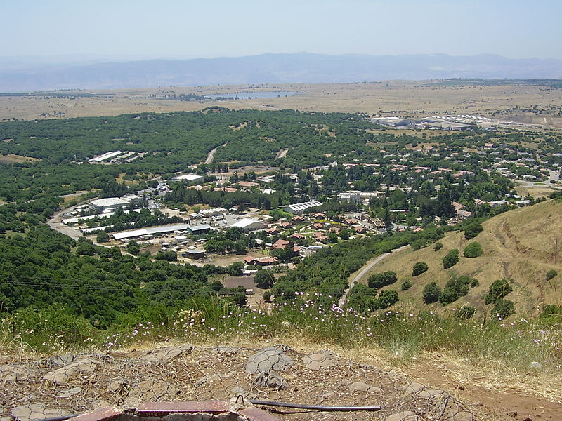 volunteering in israel