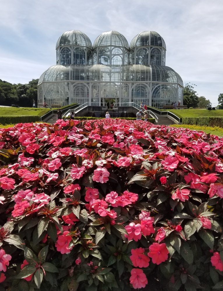 Flowers in the Botanic Garden of Curitiba Brazil