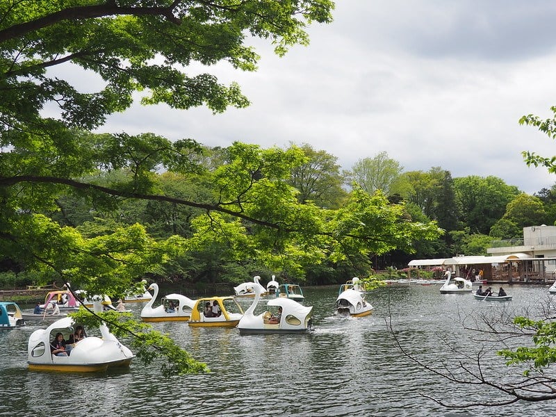 Inokashira Park in Kichijoji, Tokyo