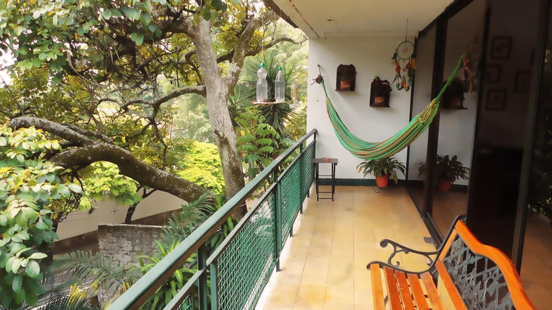 The Green House best hostels in Cali