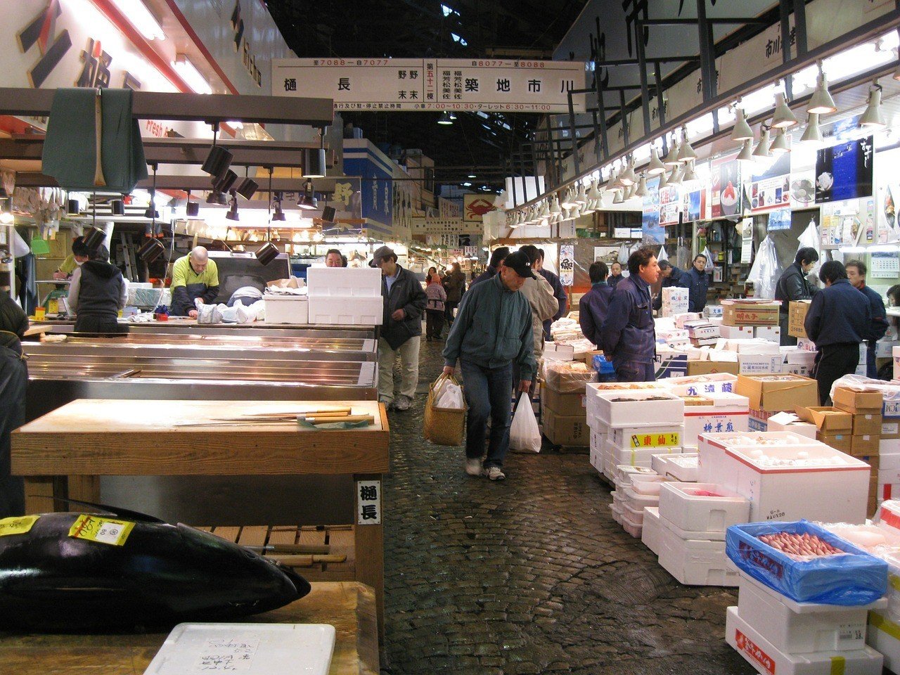 Fish markets in Tsujiki, Tokyo